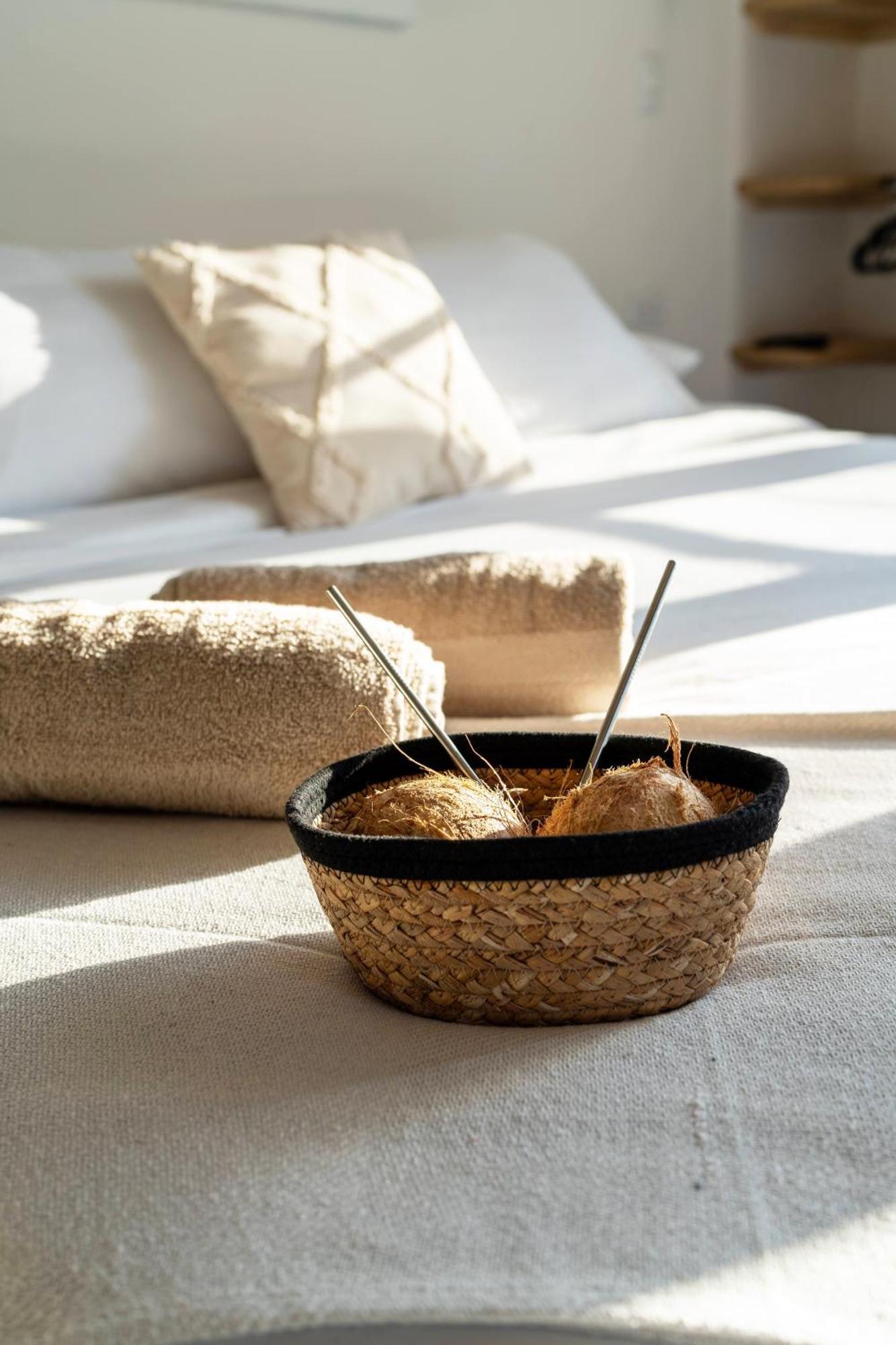 Alma Tropical - Luxury Villa Experience In Santa Teresa Playa Santa Teresa  Exterior photo